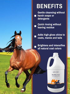 Fabbrica 1 gallone 500ml su misura OEM natura profumo di mela Flavour pulizia <span class=keywords><strong>Pet</strong></span> cavallo Shampoo cavallo condizione per la cura degli animali domestici - Product Image 4