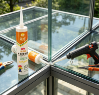 LT-798 Mastic silicone avancé pour verre 300ml – Écologique, adhésif puissant, résistant à la moisissure pour la construction et les grands panneaux de verre
