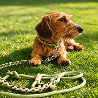 Ensemble collier et laisse pour chien en paracorde, tressé à la main, à libération rapide avec boucle en métal, pour la promenade en plein air, l'entraînement, accessoires pour animaux de compagnie