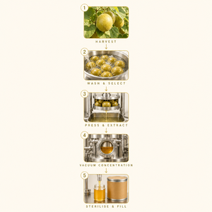 Suministro Directo de Fábrica, Concentrado de <span class=keywords><strong>Luo</strong></span> <span class=keywords><strong>Han</strong></span> <span class=keywords><strong>Guo</strong></span> Sin Azúcar, Sin GMO, Prensado en Frío, Halal, <span class=keywords><strong>Edulcorante</strong></span> Líquido a Granel - Product Image 3