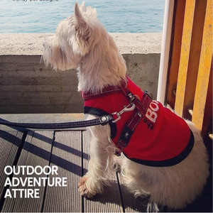 Camiseta de algodón 100% para perros bordada 'Classy Sassy Bit Bossy' lavable a máquina lindo <span class=keywords><strong>chaleco</strong></span> para mascotas para perros grandes ropa rosa para perros - Product Image 6