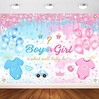 Latar Belakang Fotografi Pengungkapan Jenis Kelamin Bayi Koboi Cowgirl Pink Biru Motif Bunga Sepatu Bot Latar Belakang Dapat Disesuaikan Spanduk Pesta Baby Shower