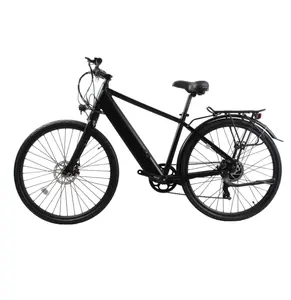 새로운 디자인 eclectric 자전거, 중국 공장 새로운 pedelec, 전자 자전거, 전기 자전거 성인 접이식 종류의 전기 접이식 차량