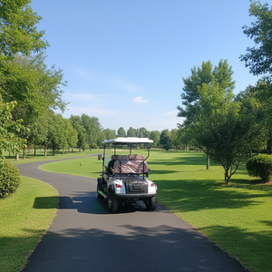 प्रतिस्पर्धी मूल्य अनुकूलित 4 सीटर वयस्कों सड़क कानूनी इलेक्ट्रिक कार्ट गोल्फ बुगी गोल्फ कोर्स के लिए तह बैकसीट के साथ - Product Image 2