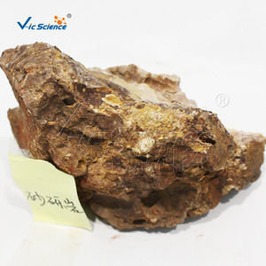 Natural sandstone and conglomerate specimens; gravelly sandy texture; bedding structure; sedimentary rock samples for - Product Image 1
