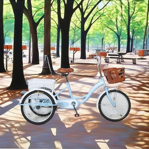 Triciclo de Pedales Personalizado para 2 Adultos, Mini Bicicleta de Carga de 3 Ruedas con Horquilla de Acero para Desplazamientos Urbanos en India - Product Image 4