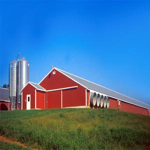 Bâtiment de ferme avicole moderne <span class=keywords><strong>en</strong></span> structure préfabriquée <span class=keywords><strong>en</strong></span> acier, conception d'atelier de ferme avicole, <span class=keywords><strong>construction</strong></span> de cadre <span class=keywords><strong>en</strong></span> acier bon marché à vendre - Product Image 4