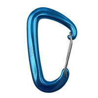 Mousqueton de sécurité professionnel en aluminium en forme de D, 22 kN, pour l'escalade, la montagne, équipement de sécurité robuste, karabiner
