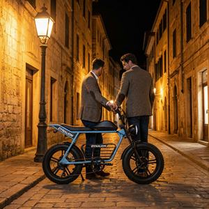 Klasik Şehir Sürüşü Geceye Hazır Heritage Elektrikli Bisiklet, LED Farlı, Eski Şehir Yaya Döngüsü Yolları için Şehir E-bisikleti - Product Image 6