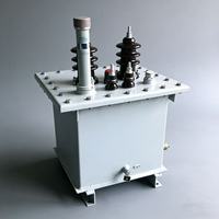 Transformateurs immergés dans l'huile monophasés HaiRui D11 personnalisables, 220V, ONAN, 50Hz/60Hz, tension de sortie 220V/380V/400V, Zhejiang, 2 bobines