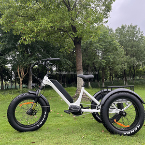 יצרן באיכות גבוהה הספק בינוני מנוע חשמלי 3 גלגל תלת אופן חשמלי עבור קשישים - Product Image 3