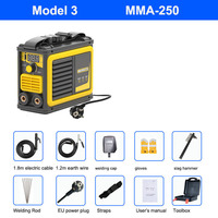 Soudeuse portable mini 110V/220V MIG/TIG/ARC IGBT Inverter MMA 250A Esab AC DC pour soudage domestique avec fil de cuivre