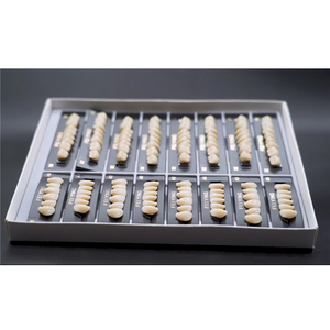 Gigi Tiruan Akrilik untuk Laboratorium Gigi Pembuatan Gigi Tiruan Lengkap dan Sebagian - Product Image 4