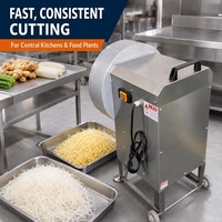 RVS gember snij- en raspmachine, commerciële groentesnijder/hakselaar voor restaurants, catering en voedingsfabrieken