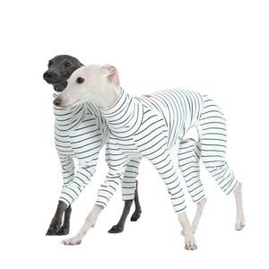 Mono personalizado de Ballet, ajustado, elástico, con rayas de calor, cuello alto, cálido, cómodo, para perros, ropa de invierno para mascotas, para <span class=keywords><strong>Galgo</strong></span> <span class=keywords><strong>Italiano</strong></span> - Product Image 1