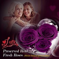 Cadeau spécial Saint-Valentin pour petit ami contient carte de la Saint-Valentin bijoux en acier inoxydable