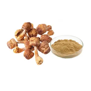 Agaricus blazei bubuk ekstrak Jamur polysaccharide 30%-50% UV