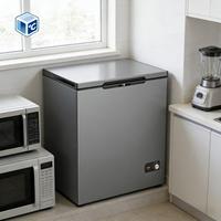 OEM ODM Chest Freezer A++ Hemat Energi Defrost Drain Keranjang Dapat Dilepas 270ml 320ml Chest Freezer Untuk Rumah Hemat Energi