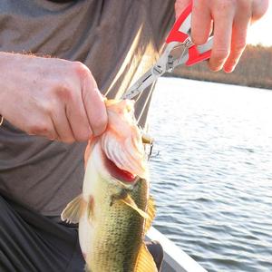 Pince à poisson multifonctionnelle en acier inoxydable améliorée pour la pêche, outil polyvalent pour homme - Product Image 2