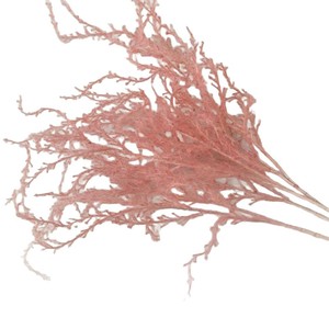 Bouquet de fleurs séchées Secret Garden Long Spike Fireworks 85cm Décoration de mariage et de maison - Product Image 5