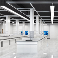 Poste de travail de laboratoire pour étudiants, banc de laboratoire tout en acier pour la chimie, la biologie, l'enseignement scientifique et les cours pratiques universitaires