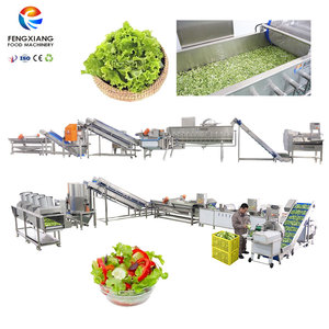 Fengxiang OEM & ODM Salad Process Line Baby <b>Vegetable</b> Vortex Washing Drying Machine - Product Image 3