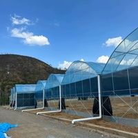 Serre agricole multi-chapelles Sinok avec systèmes de contrôle intelligent et de culture hors-sol pour légumes et tomates