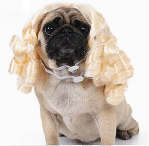 Perruque pour animaux de compagnie, fournitures pour chiens, accessoires pour animaux, cheveux bouclés, cheveux raides, perruque pour chat - Product Image 2