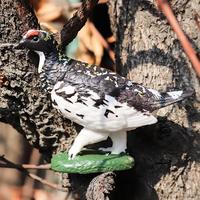 Yxs simulé poulet modèle animal jouet thunderbird neige caille tétras famille enfants illumination enseignement SIDA cognition