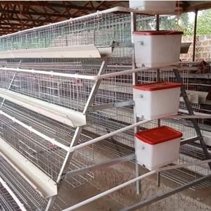 <span class=keywords><strong>Vente</strong></span> directe du fabricant, cage à poules de type A, équipement pour élevage avicole, petite cage à poules, conception de cage à poules pondeuses - Product Image 6