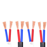 ZR-BVVB Flammhemmendes Flachkupferkabel Alterungsbeständige PVC-Ummantelung 2*10 mm 450V für Wohngebäude-Elektrorenovierung