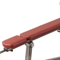 ASM-E1032 Banc de musculation multifonction réglable pour exercices abdominaux et sit-ups