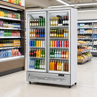 Réfrigérateur vertical pour boissons à double porte vitrée à fermeture automatique, refroidissement par air, avec éclairage LED blanc froid