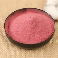 Fabricant Professionnel – Poudre de Betterave Rouge Déshydratée de Haute Qualité, Pure et Naturelle, Économique, Saveur Originale