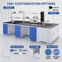 Mesa de Laboratorio Personalizada - Banco de Laboratorio Moderno de Acero y Madera con Superficie Fenólica, 2 Cajones, Resistente a Químicos, con Fregadero Superior