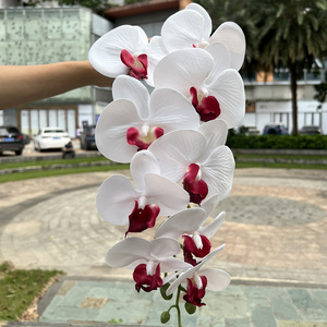 กล้วยไม้ลาเท็กซ์สัมผัสเหมือนจริงสวยงาม ขายส่ง 9 ดอก สีขาว กล้วยไม้ฟาแลนนอปซิสสัมผัสเหมือนจริง - Product Image 1
