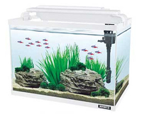JENECA petit réservoir de pisciculture de gelée de poisson bêta clair à vendre et à importer