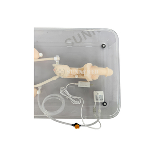 Simulador de Entrenamiento Ureteroscópico SY-NS12-1, Sistema Completo de Entrenamiento en Endoscopia Urológica para Estudiantes de Medicina - Product Image 2