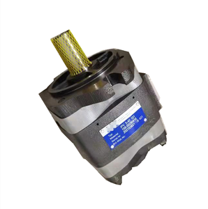 Pompe à engrenages hydraulique IPV IPVP IPC IPVS 3 4 5 6 7 IPVS5-25-101 IPVP 5-32 151 IPVS6-100-101 IPVAP 5 50 101 - Product Image 1
