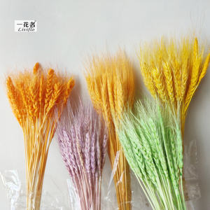 Decorazione piante essiccate secca di grano bouquet di <span class=keywords><strong>fiori</strong></span> <span class=keywords><strong>secchi</strong></span> - Product Image 6