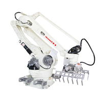 Robot d'emballage entièrement automatique Machine de palettisation 25kg Sac d'emballage de particules de poudre de farine d'aliments pour animaux