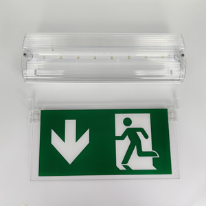 <span class=keywords><strong>Lumière</strong></span> de sortie étanche IP65, luminaire de sortie à montage encastré, batterie LFP rechargeable, <span class=keywords><strong>pictogramme</strong></span> personnalisé, <span class=keywords><strong>lumière</strong></span> de sortie LED d'urgence - Product Image 6