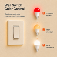Ampoule LED à spectre complet avec lumière orange et rouge 1600K 625-630nm, contrôle par interrupteur mural 3 couleurs, culot A19 E26/E27