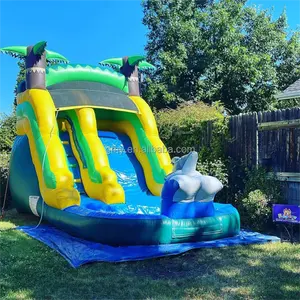 Glisseur d'eau gonflable de dauphin de 15ft extérieur commercial personnalisé avec piscine pour enfants et adultes