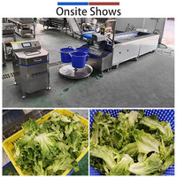 Fengxiang Leavy Groente Vortex Was- en Droogmachine 2000kg/u Basilicumbladeren Munt Sla Zachte Vortex Wasmachine