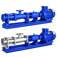 Pompe à vis robuste en fonte avec stator NBR, pompe industrielle à cavité progressive pour le transfert de boues et de liquides visqueux