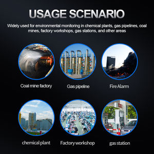 Explosion-proof Combustible <strong>Gas</strong> Detector VOC Carbon Monoxide Hydrogen Sulfide Oxygen <strong>Detection</strong> Alarm Detector FCC/CE Certified - Product Image 6