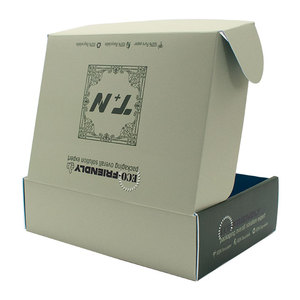 Phân hủy sinh học giấy kraft hậu cần bao bì hộp với dập nổi logo tùy chỉnh in kích thước tùy chỉnh - Product Image 3