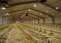 Estructuras de Acero Portales Soldadas Ligeras y Duraderas para Cobertizos de Ovejas/Vacas/Cabras, Totalmente Cerrados o Semi-Cerrados, para Granjas, con Servicio de Corte y Doblado