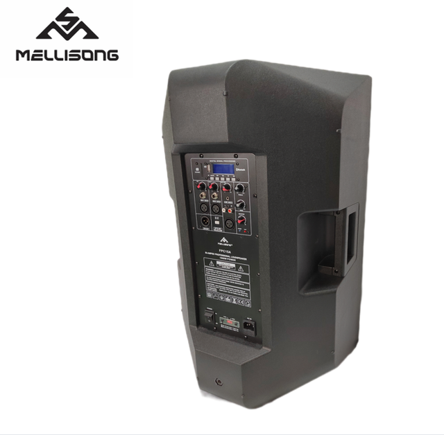 Professional Powered PA Speaker FPM15AM with MP3 DSP Bluetooth SD Card USB 15-inch 2-way Plastic Active Speaker for Outdoor Use